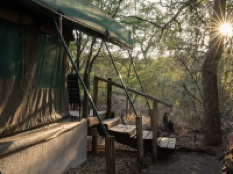 貓舌帳篷營地 - 貓舌遊獵保護區 博博農酒店