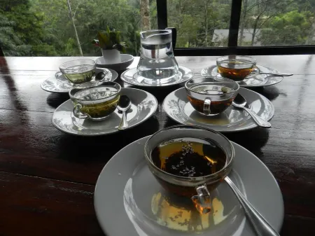 Eeescart Family Resort