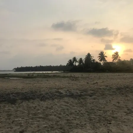 Reef Pasikudah