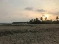 Reef Pasikudah