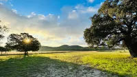 Charming Historic Getaway with Scenic Trails and Fire Pit - Cozy Retreat Hotels in Boerne