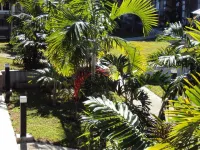 Hotel Colibri Hotel a Kone