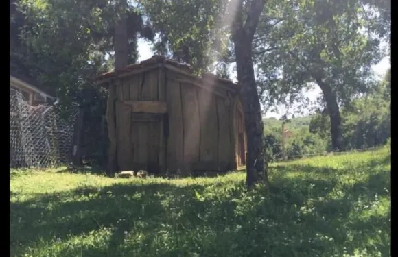 牧師之家住宿加早餐旅館