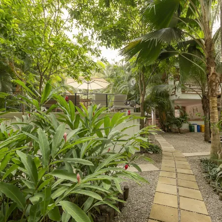 Dreamcatcher Hotel - Live the Dream of Santa Teresa