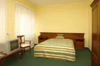 Hotel Bila Ruze Hotels in Písek