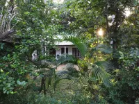 Venus Paradise