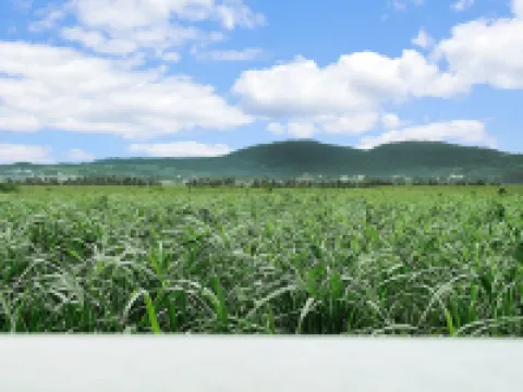 Bears Stay Kumejima Ifu Beach Kumejima otelleri