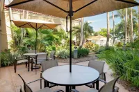 Courtyard Fort Lauderdale North/Cypress Creek Hotels near Cypress Creek Station