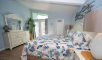 Lil Caribbean Vibes Hotels in South Padre Island