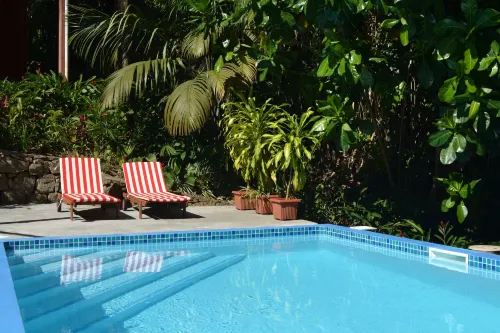 Cashew Nut Grove Chalets