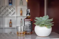 Central Sapa Serenity Homestay - bar