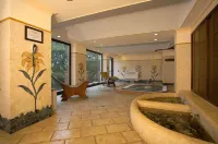 Airone Wellness Hotel - spa