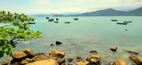 Pousada Sobre As Ondas de Picinguaba - Lemmikkieläimet sallittu