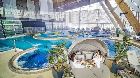 Hotel AquaCity Seasons Отели в г. Вељки Славков