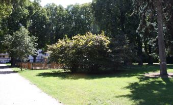 GoVienna - Charming Studio