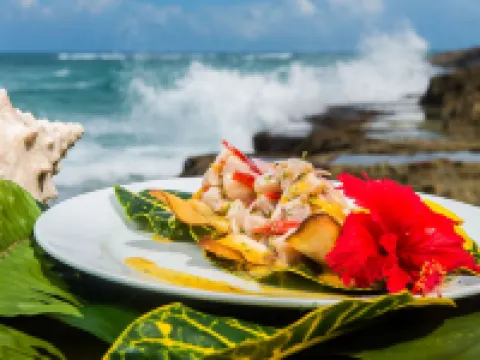 Natura Cabana Boutique Hotel & Spa by Mint Hoteles en Cabarete