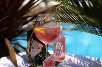 Rapo's Resort Hotel - bar