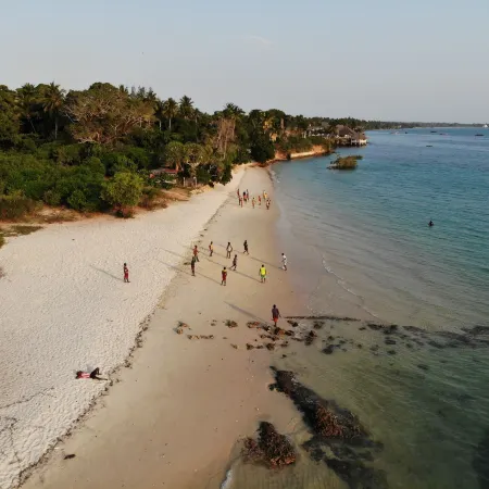Mangrove Lodge