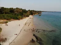 Mangrove Lodge - Beach