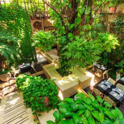 Hotel Casa Lola Deluxe Gallery Hotel Exterior