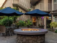 Pacific Marina Inn Hotels near Daniel K Inouye Intl. Airport