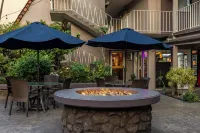 Pacific Marina Inn Hotels near The Lava Shack