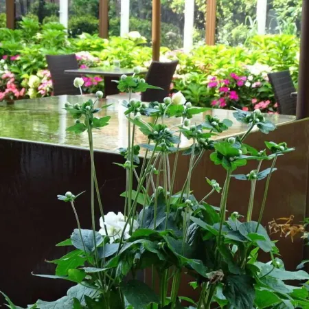 Hotel Leopardi