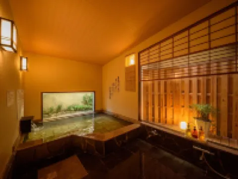 Good Stay Mizuho Hotels in Usa