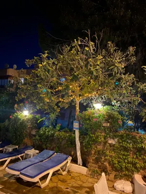 Hotel Unver