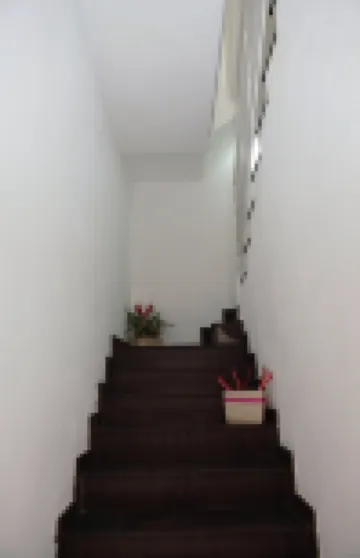 라 코르테 디 이블라