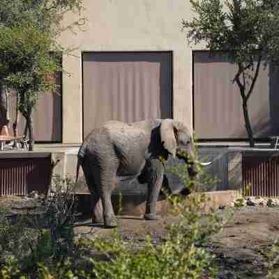 Honeyguide Tented Safari Camp - Khoka Moya Hotel Exterior