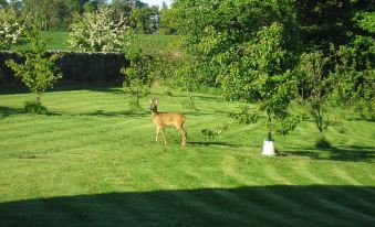 Balhousie Farm Bed and Breakfast