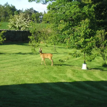Balhousie Farm Bed and Breakfast