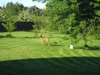 Balhousie Farm Bed and Breakfast