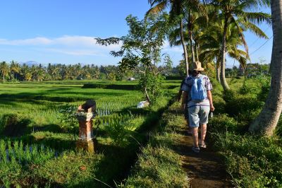 ホテル周辺 ヴァイスロイバリの写真