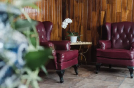 โฮเทล เร็กซ์