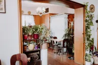 Hotel Moorbadstuben Hotels in Bad Schussenried