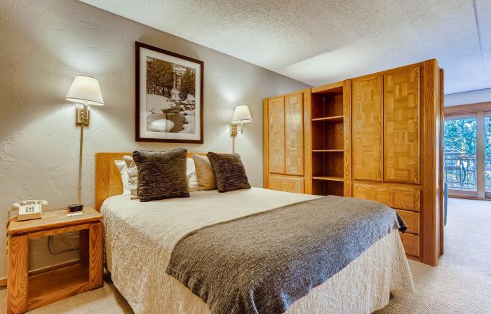 Lift House Lodge, Pet Friendly Studio Condo