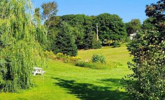 Clinton Pond Bed and Breakfast