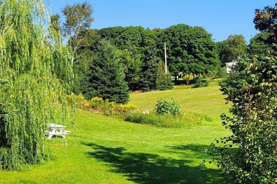 앤 셜리 모텔 & 코티지