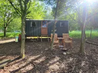 Holt Woodland Glamping - Shepherd Huts & Yurts Dog Friendly Hoteles en 