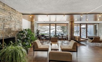 Studio Blue Petit - Happy Rentals