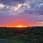 Oak Tree Rooms Ltd Hotels in Brockenhurst