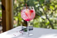 Savegre Hotel Natural Reserve & Spa - Bar