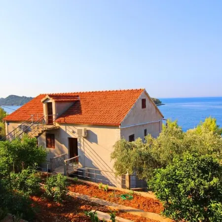 Apartments Bacic