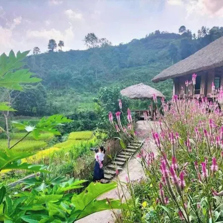 Binh Ban Lien Homestay Отели в г. Ta Chai