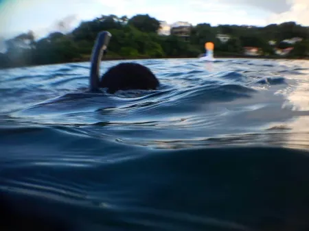 Apartment by the beach