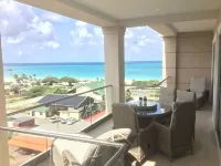 ROYAL PENTHOUSE-New stunning two storey penthouse condo with roof top terrace
