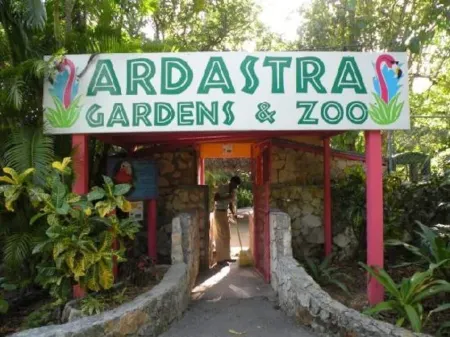5 Min Drive to Junkanoo Beach, Arawak Cay, Ardastra Garden & Zoo & Attractions Отели рядом с достопримечательностью «Ардастра Гарденс & Уайлдлайф Консервейшен Сентр»