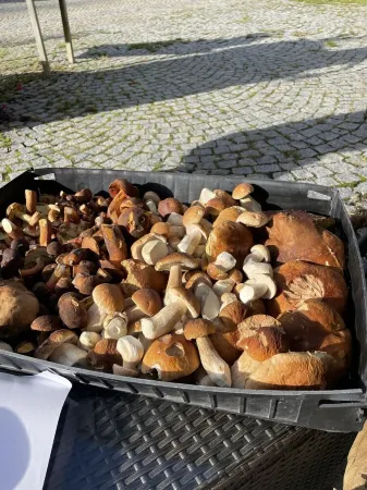 Das Alte Forsthaus Spiegelhütte